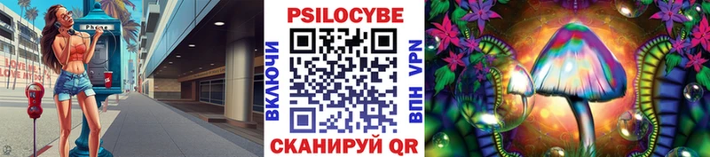 Псилоцибиновые грибы Psilocybine cubensis  Димитровград 